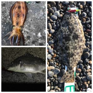 遠州灘4月の釣果まとめ