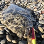 サーフでルアー釣り。ヒラメやマゴチを狙うルアーとは?