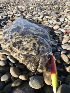 サーフでルアー釣り。ヒラメやマゴチを狙うルアーとは？