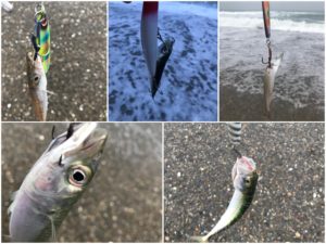 春のサーフはメタルジグがオススメ？