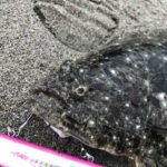 ブローウィン140Sでヒラメ。