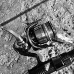 DAIWA 19セルテート インプレ