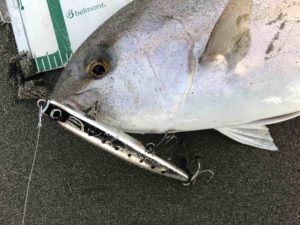 遠州灘サーフ開幕宣言