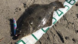 2019遠州灘サーフ開幕！！