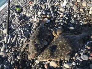 遠州灘サーフ絶好調！！フローティングミノーで釣る！