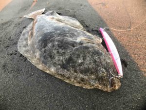 横風５メートル。まぁまぁタフでもヒラメが釣れた！