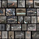 ヒラメが釣れたルアー!実際に釣れたヒラメ合計42匹のまとめ