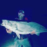 サーフの怪魚オオニベが釣れた！