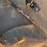 19ヴァンキッシュ インプレ。サーフで使えるの?徹底実釣インプレ