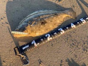 サーフにミノーは必須！！攻略方法と実釣り済みおすすめミノー！！