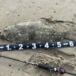 スカーナッシュ！インプレ。進化したリップレスミノー？