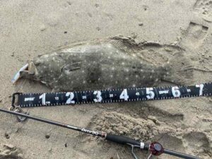 スカーナッシュ！インプレ。進化したリップレスミノー？