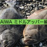 DAIWA ミドルアッパーでヒラメ