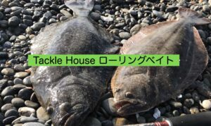 タックルハウス ローリングベイトでヒラメ