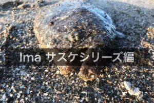 ima サスケレッパ140でヒラメが釣れた